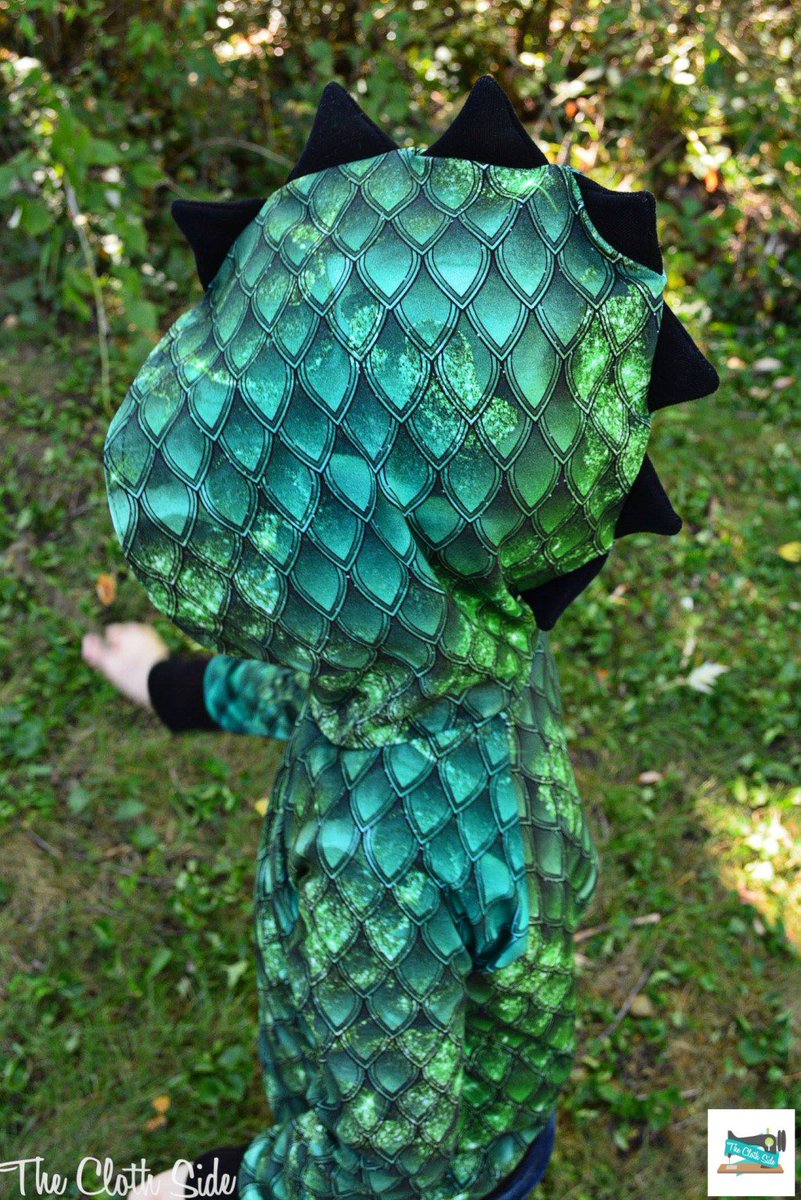 TheClothSide's tweet photo. Two Words: Dragon Hoodies! https://t.co/ATH6efkLpw https://t.co/WBMh2jaaTL