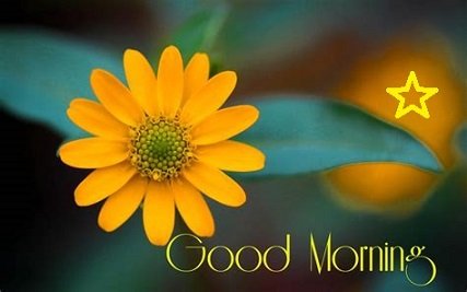 Milele_FM's tweet photo. #AlexNaJalas #AlexNaJalas Good morning karibu tuanze wiki in style... @JalangoMwenyewe @Alex_Mwakideu @K24Tv @marryanne26 @DicksonMpapale https://t.co/TWx2B1zBSG
