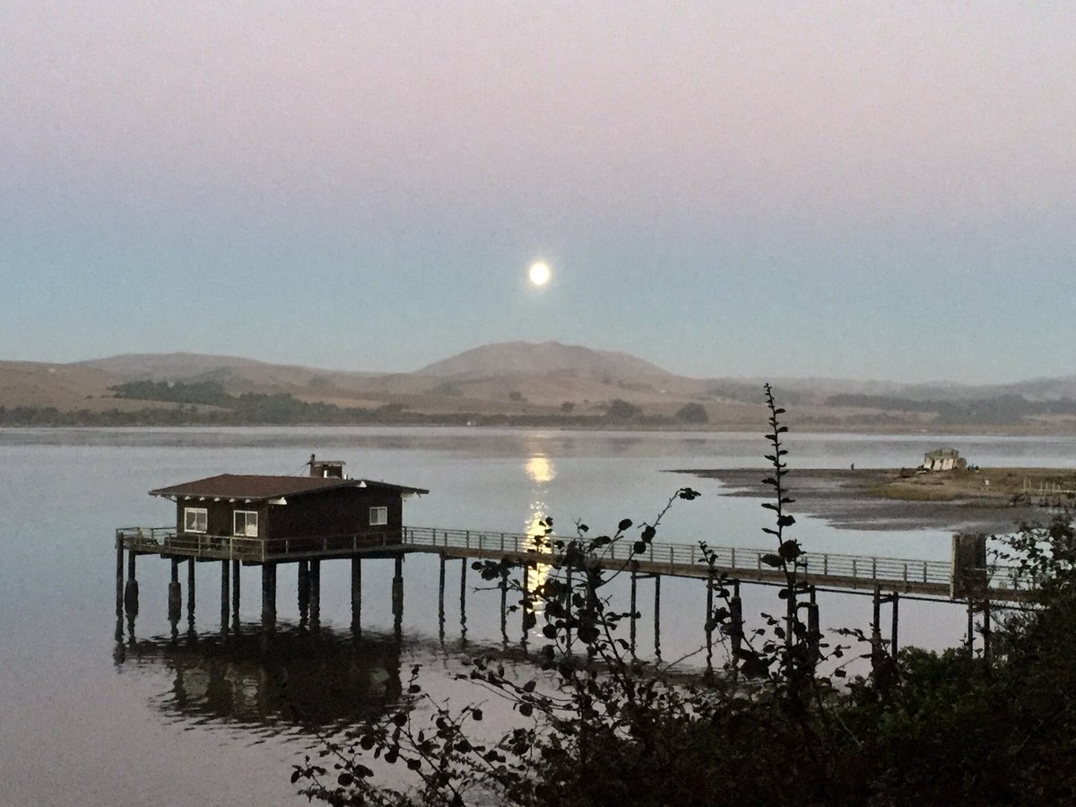 nels johnson (nelsjohnsonnews) Twitter