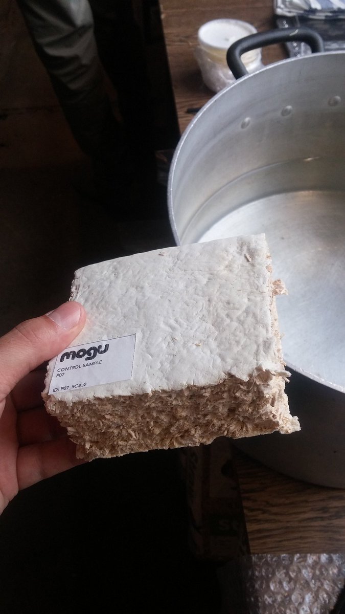 Workshop mycelium in <a href="/fablablux/">Fab Lab Luxembourg</a> <a href="/rod3412/">Rodé</a> thx @corpuscoli &amp; @MOGU_Italy for learning lot on fungi things