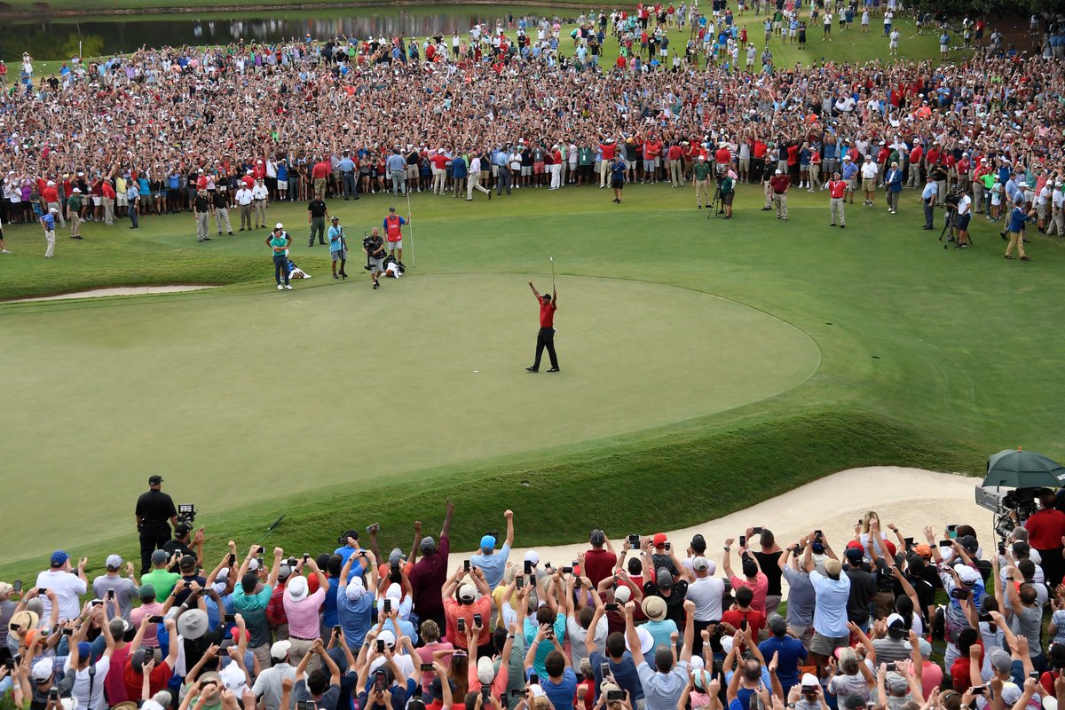 Tiger Tracker tweet media