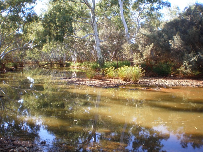 SoilsforLife's tweet photo. Restoring the WA Rangelands, investing in the natural resource base. #RegenerativeAgriculture case study https://t.co/6OyEwZVt7Q https://t.co/L9qPnPlVwA
