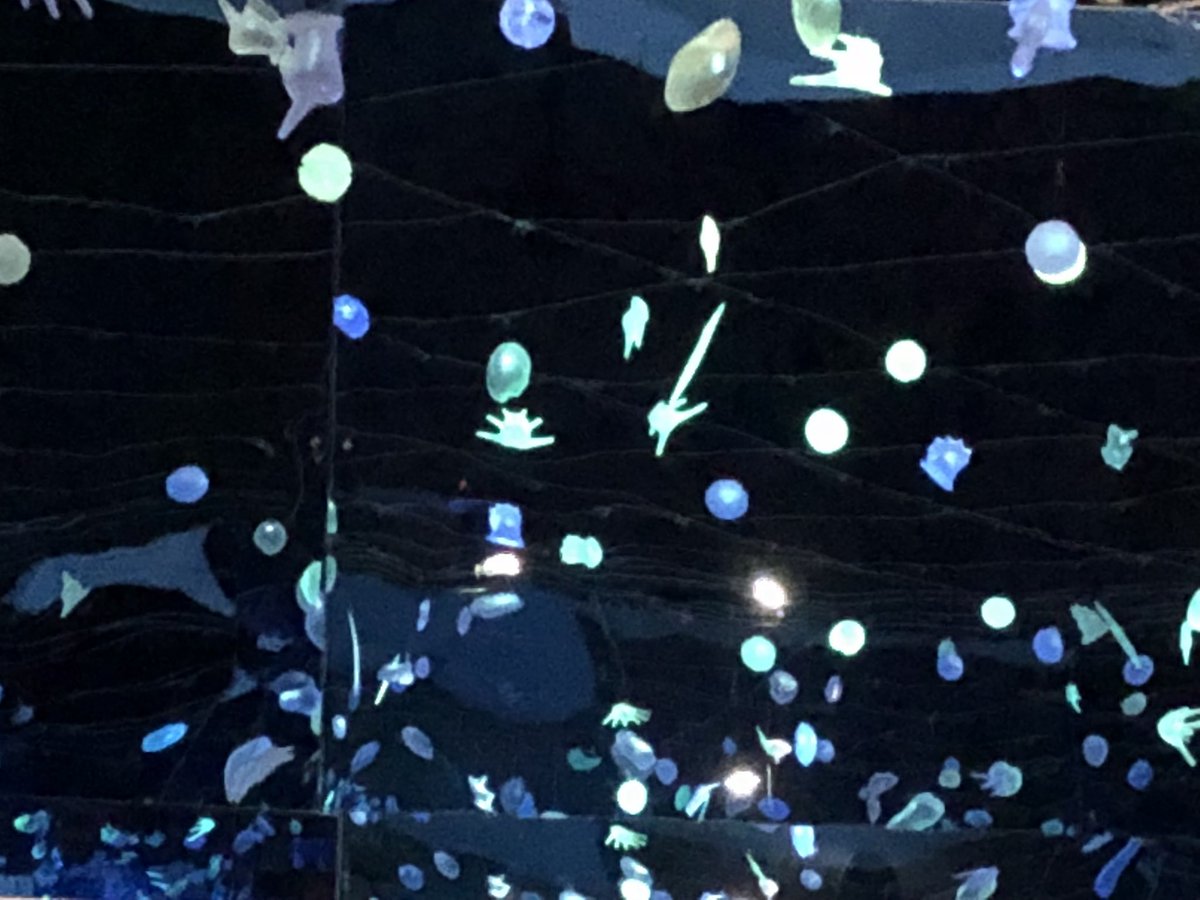 HHardenDavies's tweet photo. Sink beneath the waves to discover the secrets of plankton, marvel at manta rays, see fluorescent cat sharks & collect samples in a submersible. #unseenocean @AMNH is a must see for inspiring science and sea-life! @mvonlind @4kgjerde @DeepStewardship - field trip for #BBNJ IGC2?! https://t.co/yOVIi8sODS