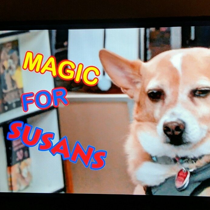 TeamBobFamily's tweet image. #MagicForSusans #MagicForHumans 
#Netflix