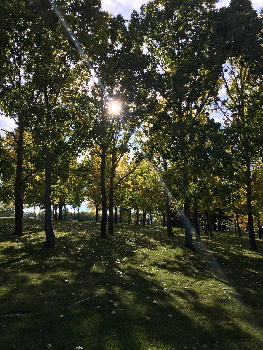 Ms_Liesel's tweet photo. Sunday afternoon walks. #thatlightthough #shelovedfallmostofall https://t.co/I6IYEsQJ4R