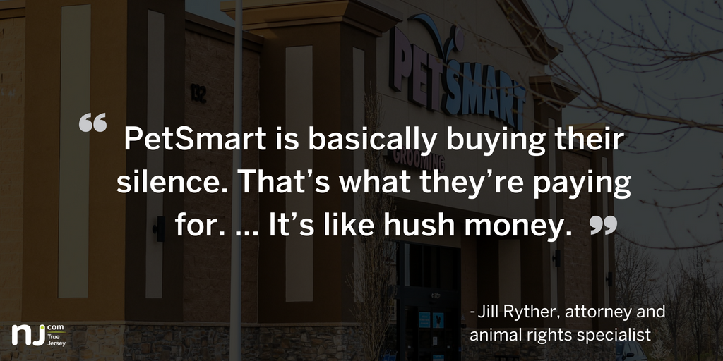 njdotcom's tweet image. After a dog dies, some owners will settle with @PetSmart and may be forbidden from revealing anything about an incident, the payment received or even the existence of the agreement. nj-ne.ws/pPPPU79
#pets #petsmartgrooming #petsmart