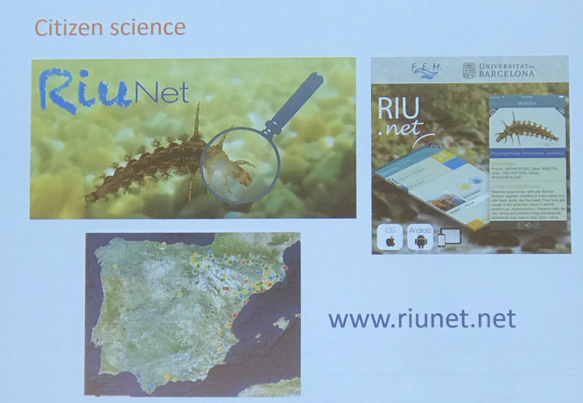 Nuria Bonada’s plenary address finished with an acknowledgement of the increasing role that citizen science will play in aquatic conservation &amp; management #AFSS2018