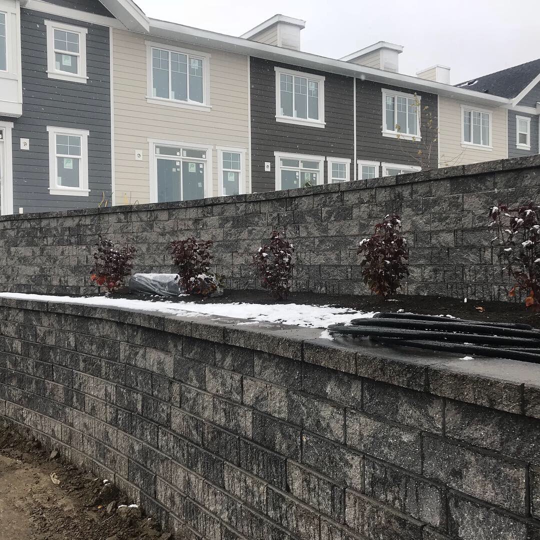 Morris Landscapes tweet media