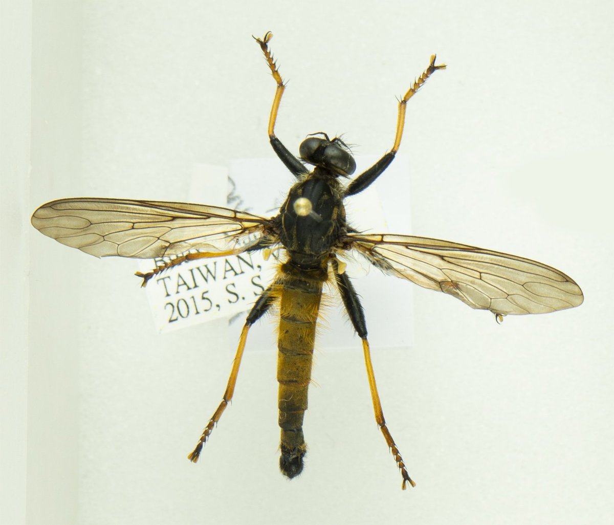 Wen-Chi Yeh tweet media