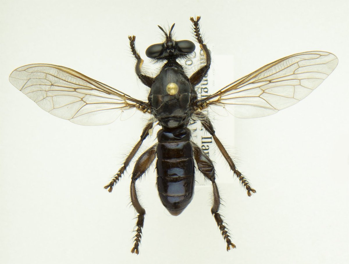 Wen-Chi Yeh tweet media