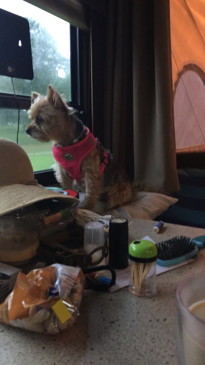deanna52858's tweet photo. @JimWKYT #Strohmeier #Flashflood@campground  #StillwaterCampground #FranklinCo. #homeawayfromhome https://t.co/Tx01sOK74d