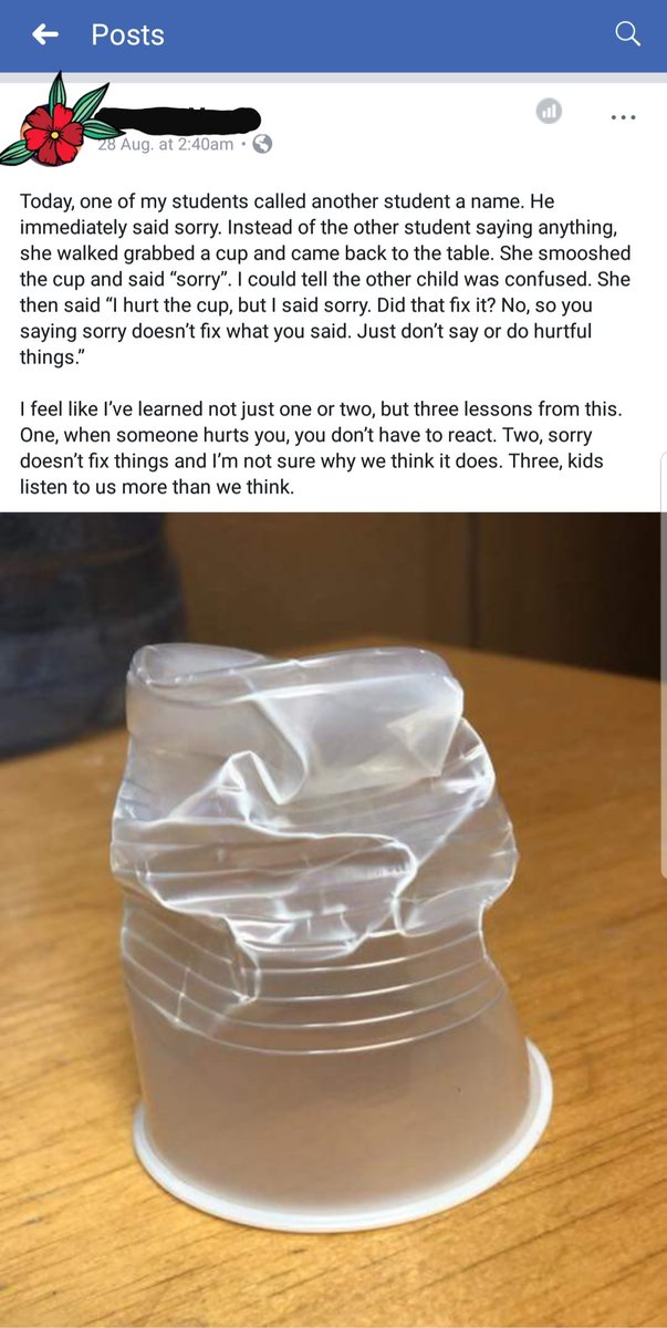 I stumbled across this post one day and it clearly depicted how an apology doesn't resolve or fix a situation that caused pain or harm. 
I will definitely use this concept to teach students the power of their actions and words. #acuedu_p #lifelessons