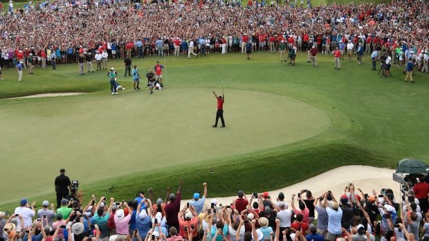 nike instagram tiger