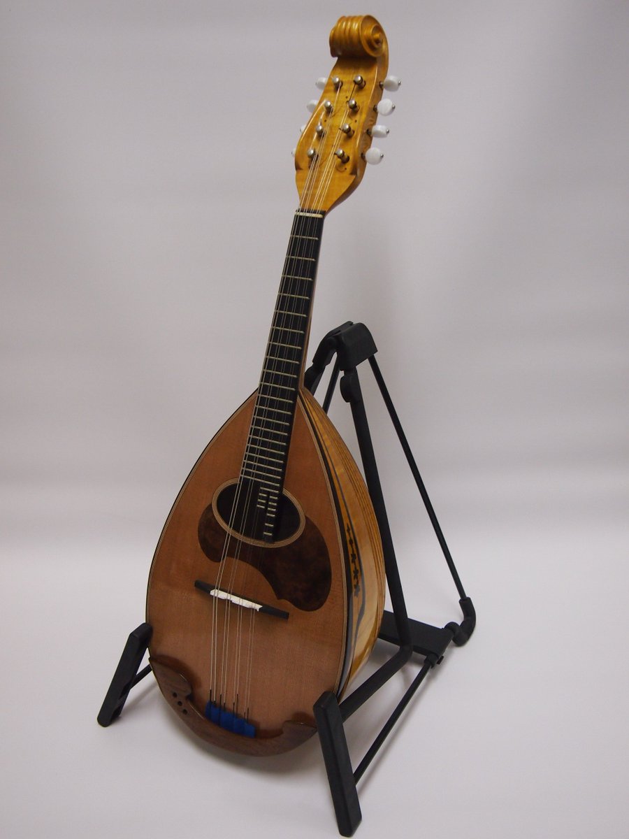 ikegakumandolin's tweet image. カラーチェマンドリンの最高峰、「クラシコA」セラック塗装モデルが入荷中！
表面板が松と杉の2種類ございます。
店頭に揃うのはかなり貴重ですので、ぜひ違いを体感してみてください！