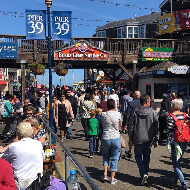 rem1510's tweet photo. #picoftheday #photooftheday #photography #instagramers #influencers #blogger #instagay #gay #gayfit #gayboy #chill #chilling #instagood #sanfrancisco #pier39 #crab #ig_sf #igersusa #tourism #sunnysunday #california #fishermanswharf #sealions #bluesky #su… https://t.co/uSEIXIPwfL https://t.co/18ui6dnqvP