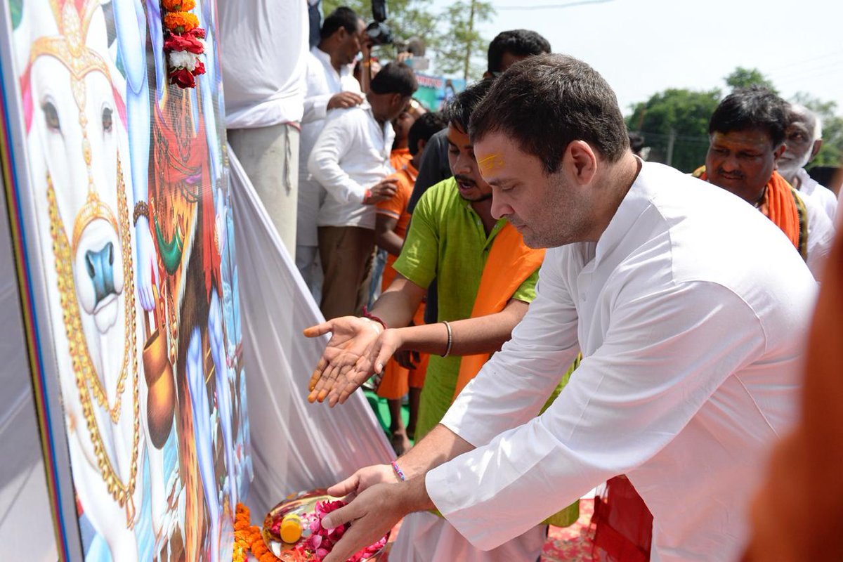 SudhanshuINA's tweet photo. अमेठी में कांग्रेस अध्यक्ष राहुल गांधी #RGInAmethi @pankaj_shankar @Pressbrief @priyankac19 @Amethiin @INCIndia https://t.co/iMqn3SghEX