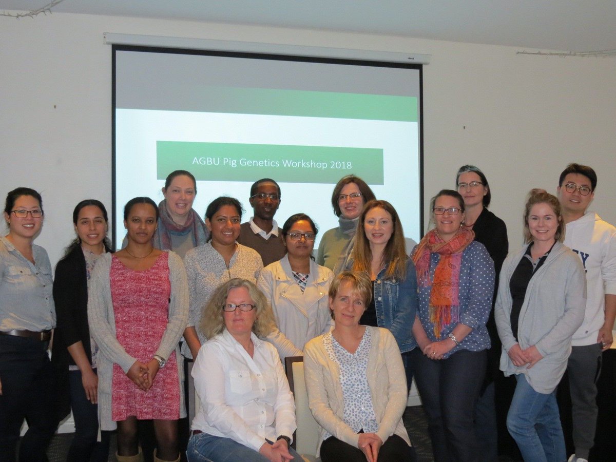 AGBU_GENE's tweet photo. Following on from #BreedingFocus2018. The @AGBU_GENE Pig Genetics Workshop was held. 
#Pig #Genetics #Genomics #Production #Welfare #Performance https://t.co/u2FJH6Co3O