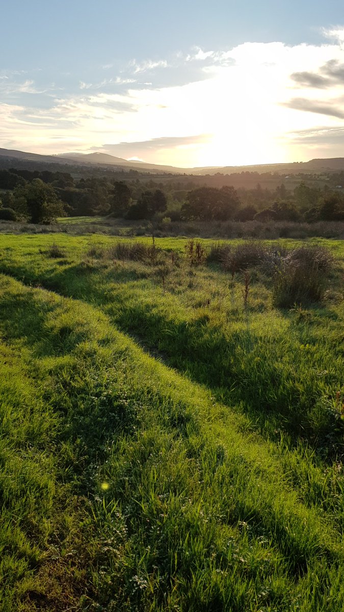 Araglin valley
