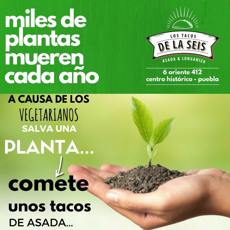 TacosDeLaSeis's tweet photo. EMPIEZA LA SEMANA CON TODA LA ACTITUD #tacos #carneasada #cemitas #burritos #cemadetaco #barriodelartista #foodofpuebla #remolque #halloween #nochedebrujas #eventos #vegetarianos #cometacos #nosomosguaposperosomostaqueros #puebla #comeenpuebla #dondeirenpuebla https://t.co/bMdbbuGITO