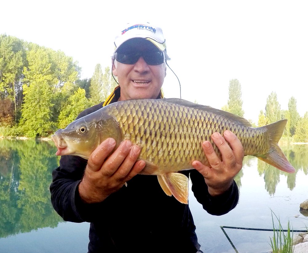 TubertiniHQ's tweet photo. Amici, vi auguriamo un'ottima settimana con questa carpa regina. Pesce pescato (ed ovviamente rilasciato in perfetta salute) sul fiume Mincio dal nostro Giuseppe Trani 👍
#TubertiniHighQuality https://t.co/wLAYqoaVJS