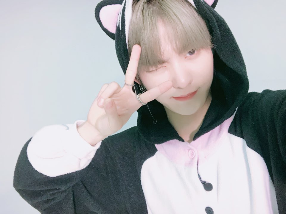 THE BOYZ (더보이즈) tweet media
