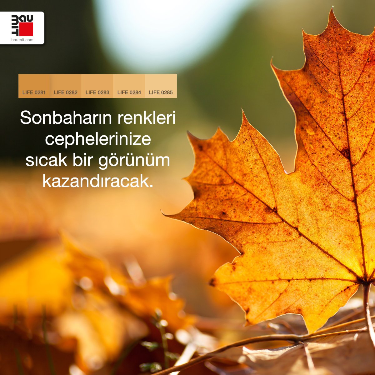 BaumitTurkiye's tweet photo. Sonbahar yapraklarının renkleri cephelerinize sıcak bir görünüm kazandıracak.
Daha fazla renk için Baumit Life'ı keşfedin; https://t.co/DikOvCkq7l
#baumittürkiye #baumitlife #boya #renk https://t.co/lEw6v42D01