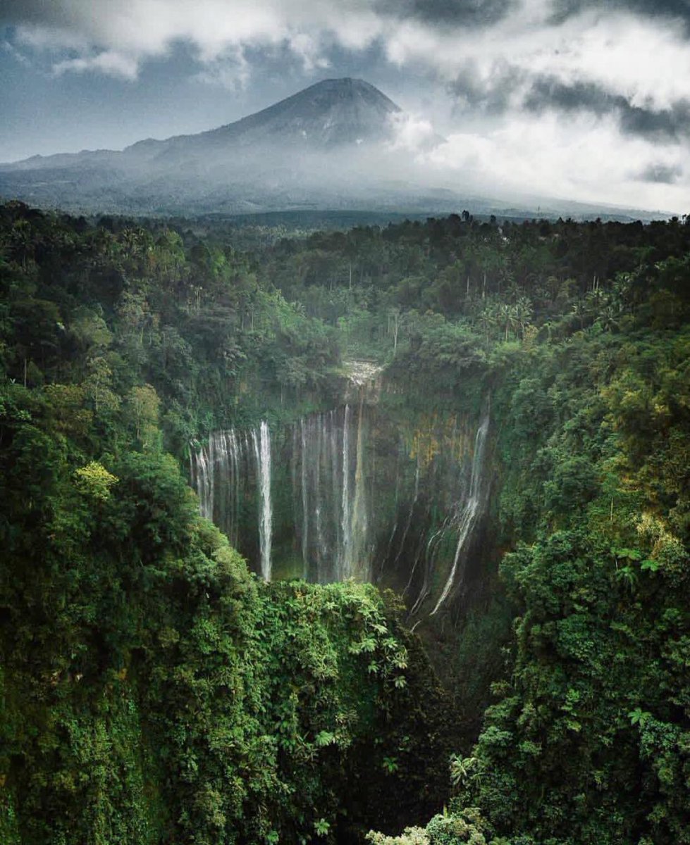 explore indonesia tweet media