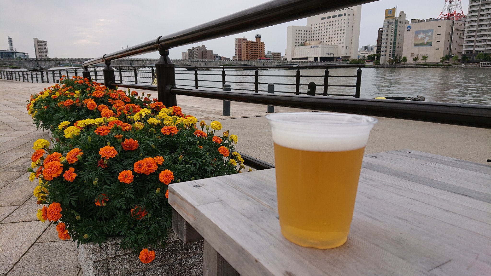 萬代橋サンセットカフェ Twitter Search Twitter