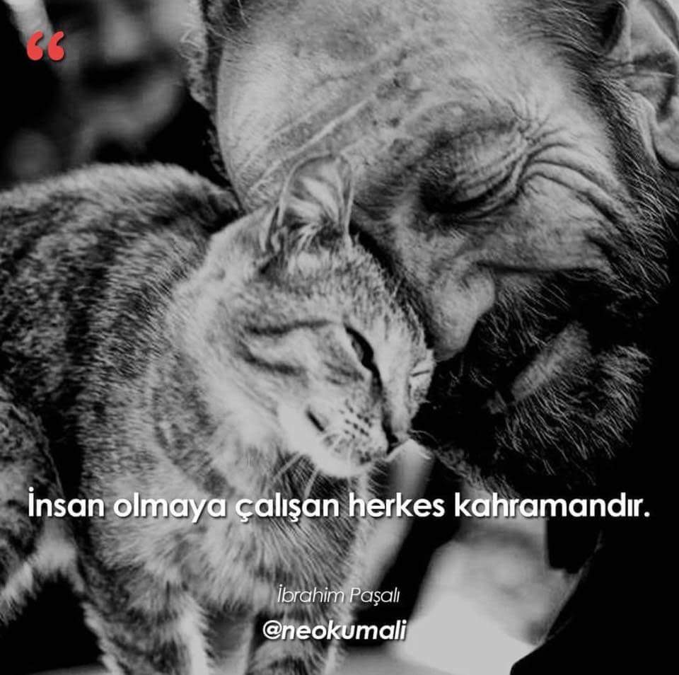 Anko Taşımacılık (@anko_mac) on Twitter photo 