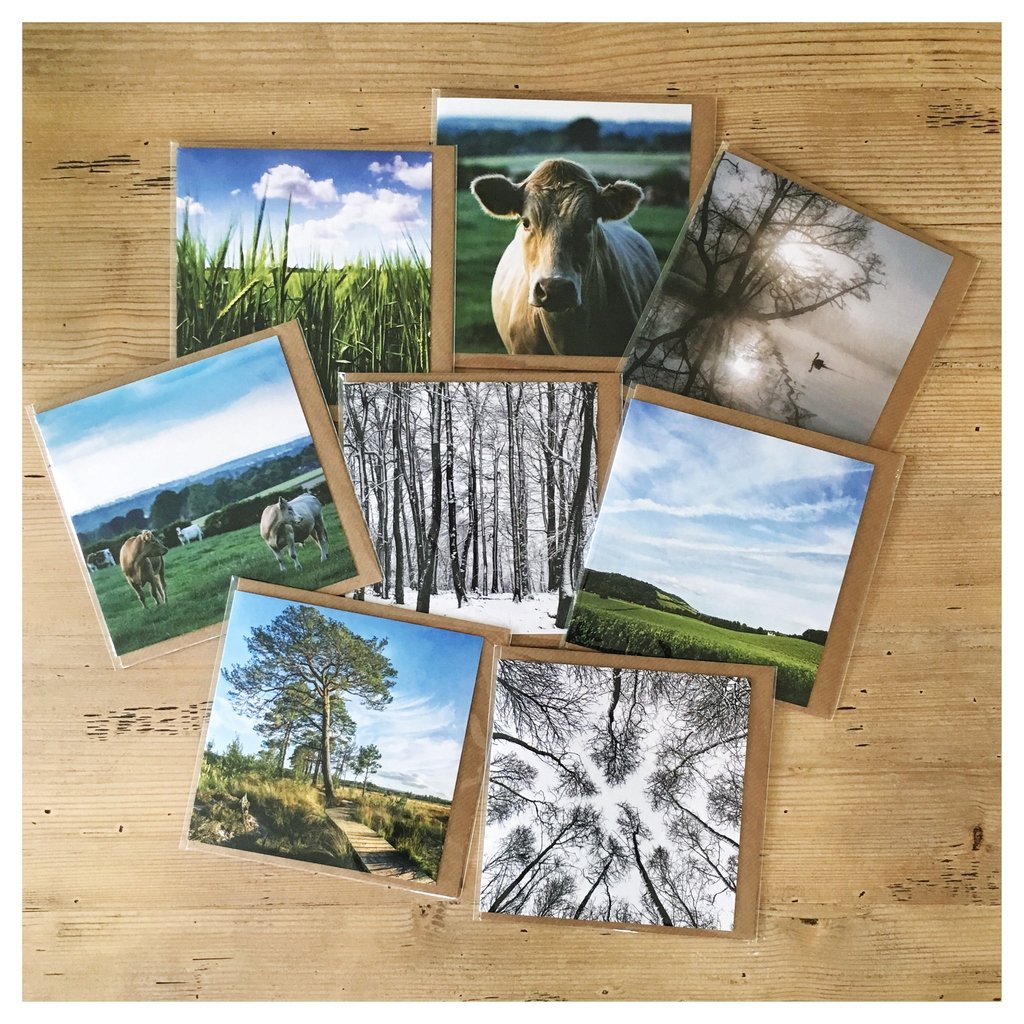 MarieDaveyPhoto's tweet photo. I’m excited to announce that some of my greeting cards are now available at the gorgeous Two Ducks in St. John’s, including a few new designs.
It’s a beautiful shop that's well worth a visit, so please do go & see Claire & Amber & have a little mooch around. #twoducks #giftshop https://t.co/o45M2pzntA
