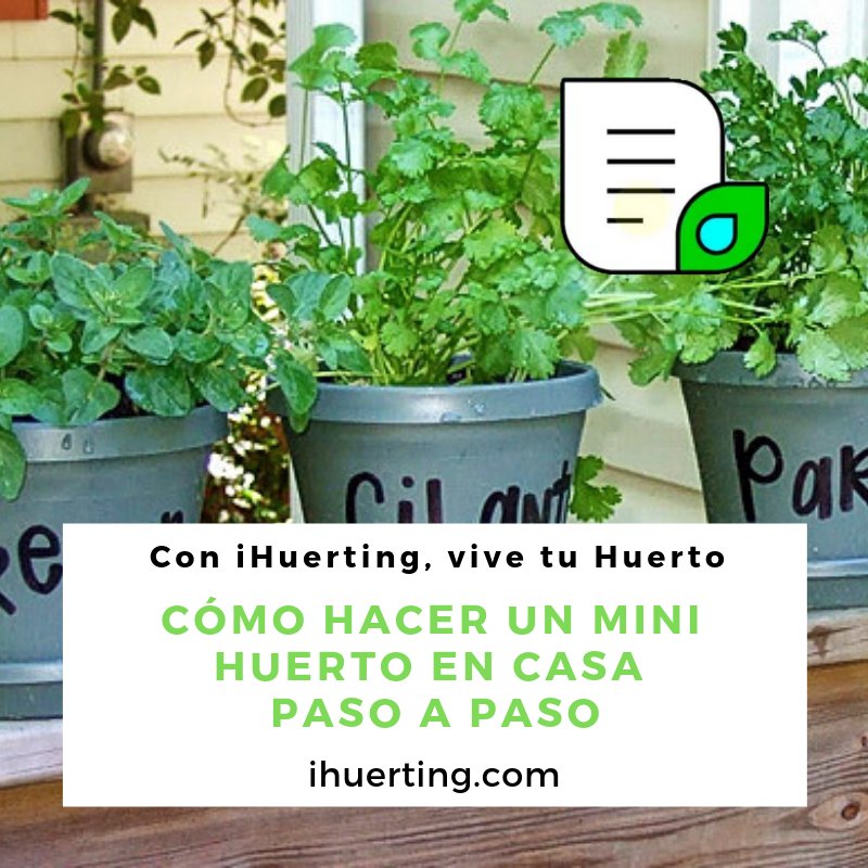 iHuerting's tweet photo. Cómo hacer un mini huerto en casa paso a paso https://t.co/1bU04IFSKn #iHuerting #vivetuhuerto https://t.co/HAIJt096Qn