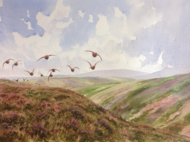 Fantastic watercolour from Jonathan Yule now on the website simonreinhold.co.uk

Would grace any gunroom or office wall. 
#grouse #drivengrouse #gameshooting #wingshooting #doublegun #wildmeat