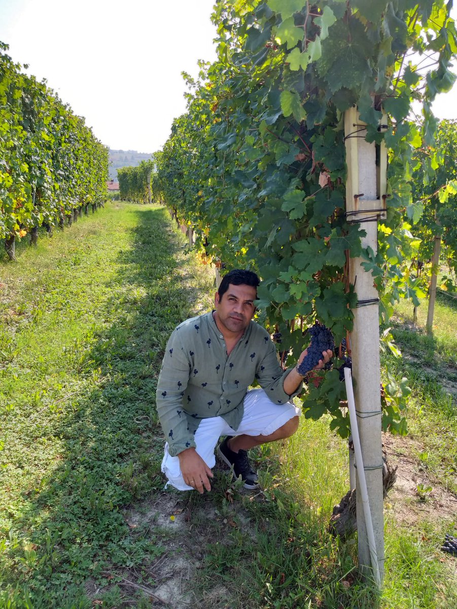 adrianopardo1's tweet photo. Gran cru Francia https://t.co/uOxXjE6vN0
