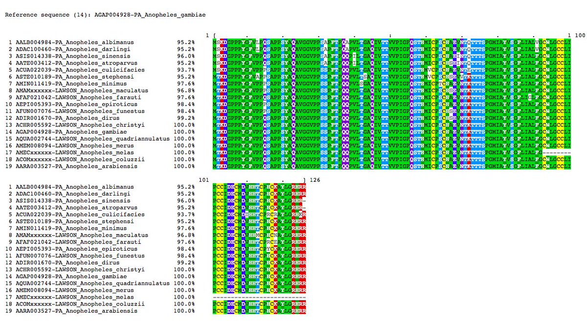 VBannotator's tweet image. LL6, lipopolysaccharide induced TNF alpha transcription factor 6. 3 novel and 5 edits. #melas is partial. #Anopheles #VBannotation