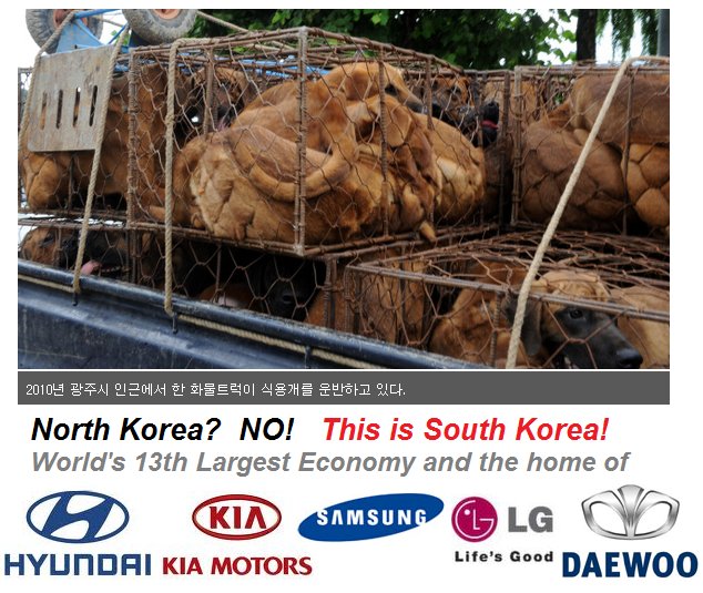Cat_Kapow's tweet photo. @KittanHooch @ChangeAus Already signed and shared again. #boycott #SouthKorea #boycott #abusers #boycott #products and #SouthKorea #brands
#Samsung #SamsungGalaxyNote9 #Kia #Hyundai #Daewood #LG https://t.co/PmWzZqdRO0