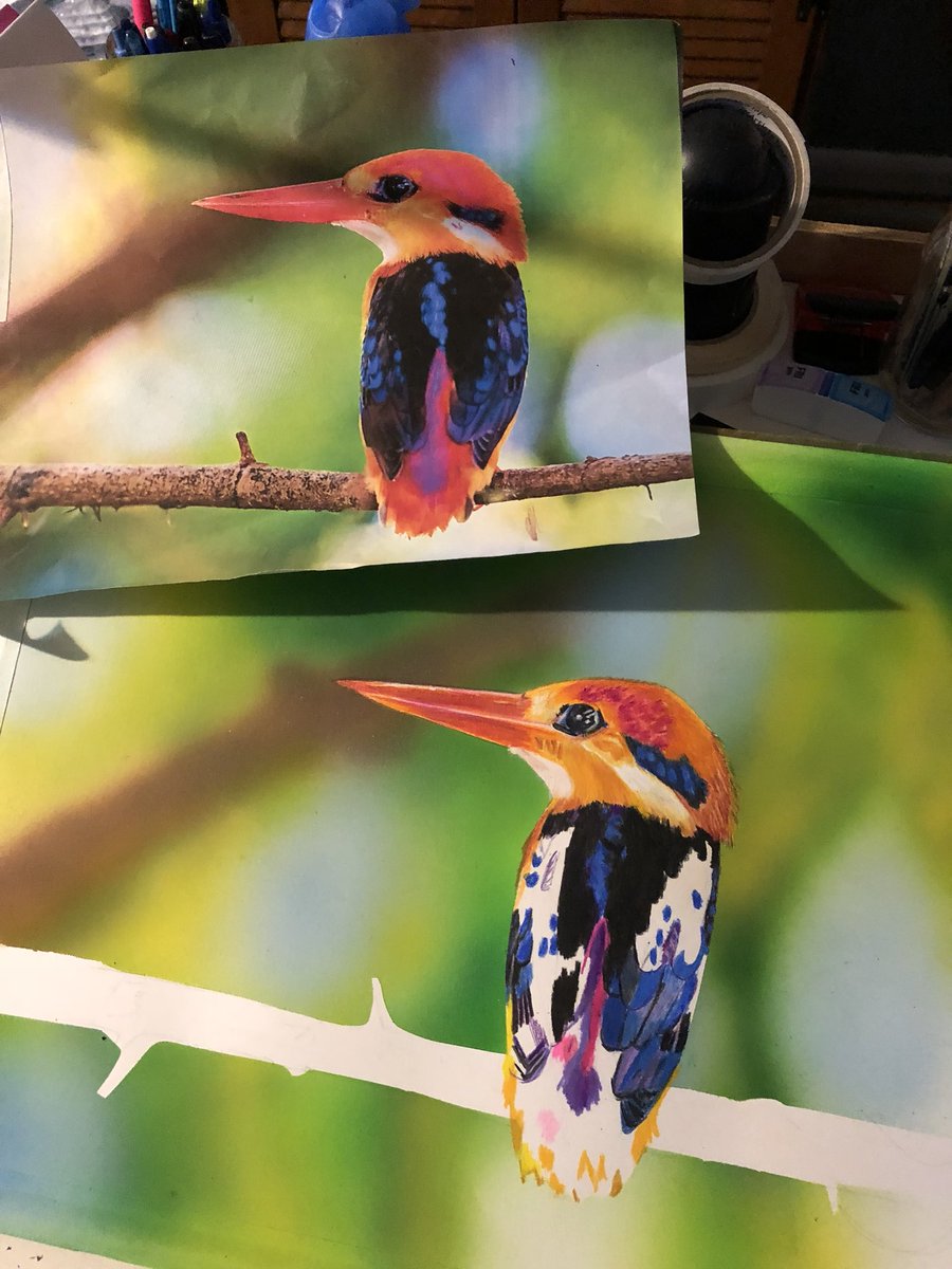 JudithV's tweet image. Airbrush background, colored pencil, beautiful little kingfisher bird. #wip #jvartresources