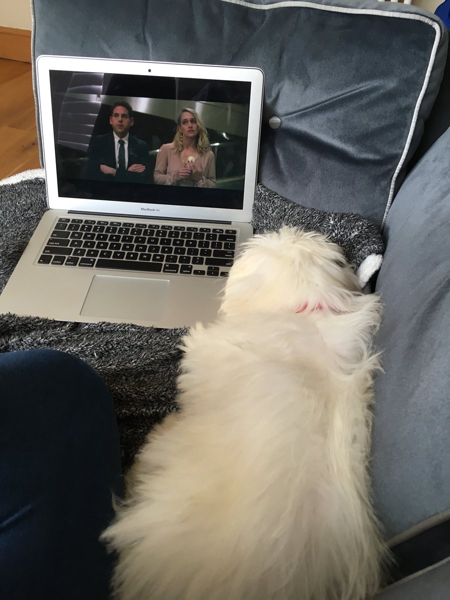 Frenchie tweet media