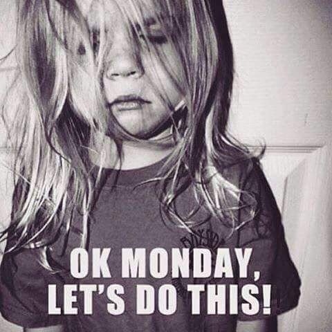 james_roberts69's tweet photo. Happy Monday!! #mondaymood #MondayMotivation #needlotsofcoffee #WORK https://t.co/deQw9b6VTV