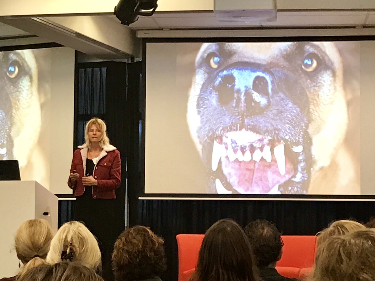 Presentatie van @ariannestruik over belang van slapende honden wel wakker maken: stabiliseren en behandelen van chronisch getraumatiseerde kinderen #traumaverwerking #Lock2018 <a href="/HetLOCK/">Het LOCK</a>