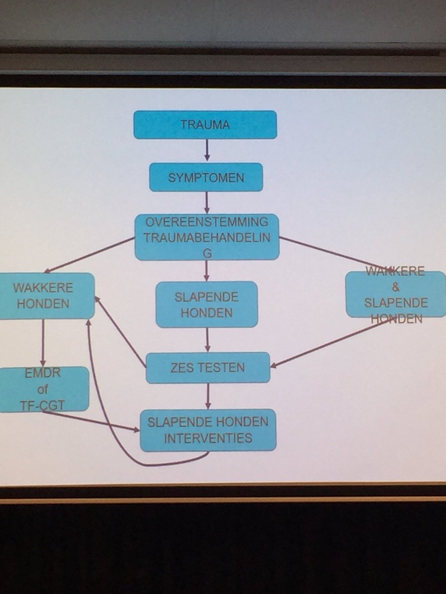 Arianne Struik over Slapende en wakkere honden en passende interventies voor getraumatiseerde kinderen. #LOCK2018