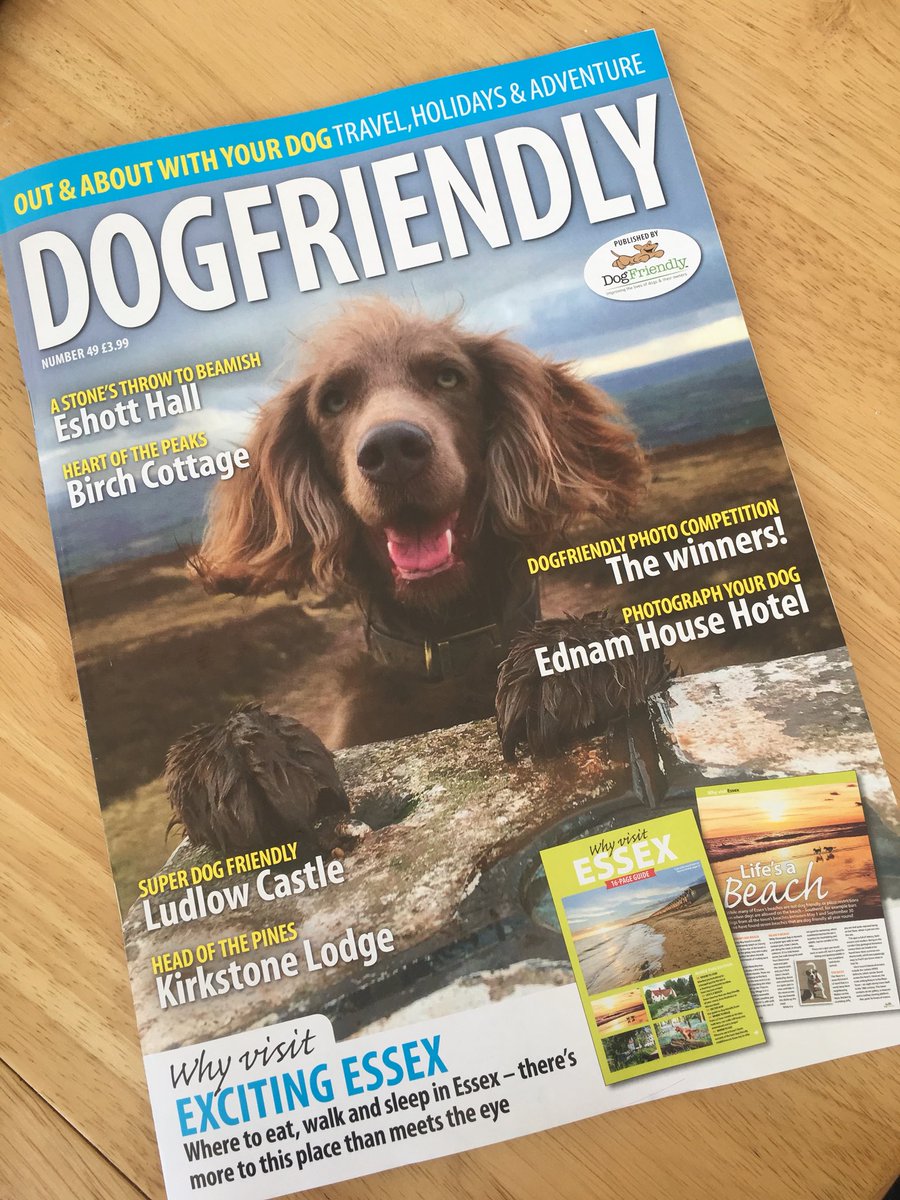 EmmaSeidel's tweet image. My much loved @dogfriendlyinfo #dogfriendly magazine arrived this weekend, only to find an article on #Ludlowcastle! Dog friendly! Now can’t wait to visit. #herefordshire #dogfriendlyinherefordshire #livinginherefordshire