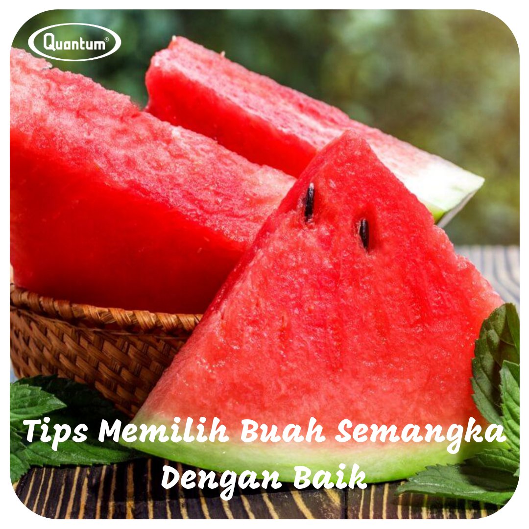 Quantum_INA's tweet photo. Tips Memilih Buah Semangka Dengan Baik
1. Perhatikan dengan Seksama
Semangka yang baik adalah yang bentuknya simetris, mulus, dan tidak terdapat... https://t.co/ctRxVfX8AM
#quantumindonesia
#tipsquantum
#semangka https://t.co/qGiME31ur2