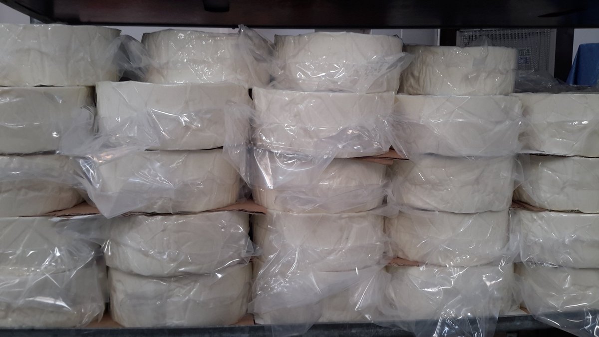 RibblesdaleC's tweet photo. Here is our faithful #vacpacker and the cheese we have just packed, made last week. This is just a holding position, before we decide whether to wax, smoke or mature them in cloths. Decisions, decisions #cheesemaking https://t.co/YIEqXmbp2l
