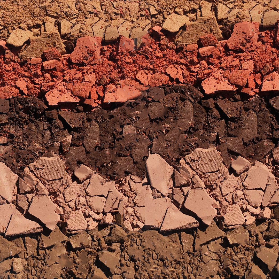 Models Own tweet media