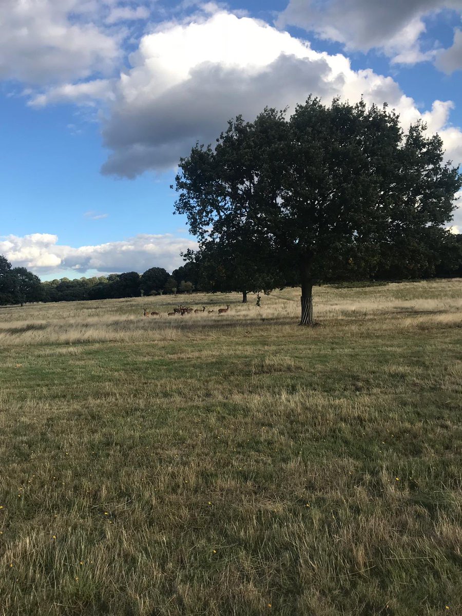 fiftyoneapparel's tweet image. Fifty One Apparel take a walk and as the temperature changes within the day our clothes are ready to adapt #climatecontrol #outlasttechnology #fiftyonepparel #hotflush #bodyregulatingclothing