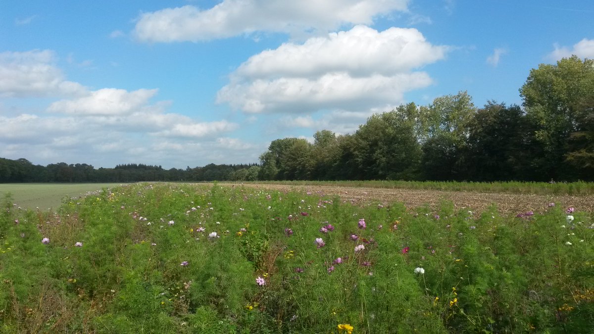 In de #weekvandeduurzaamheid organiseert <a href="/ANVnoorderpark/">ANV Noorderpark</a> op zaterdag 6 oktober een excursie door onze boerennatuur. Kijk op duurzaamdebilt.nl/?p=1574