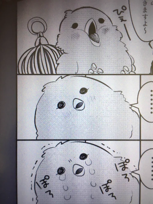 新刊ノベルティの漫画の進捗です。漫画パートは爆絶超絶だったりノア君だったり男性キャラばっかりです。

そしてこちらは青い鳥です(どやあ) 