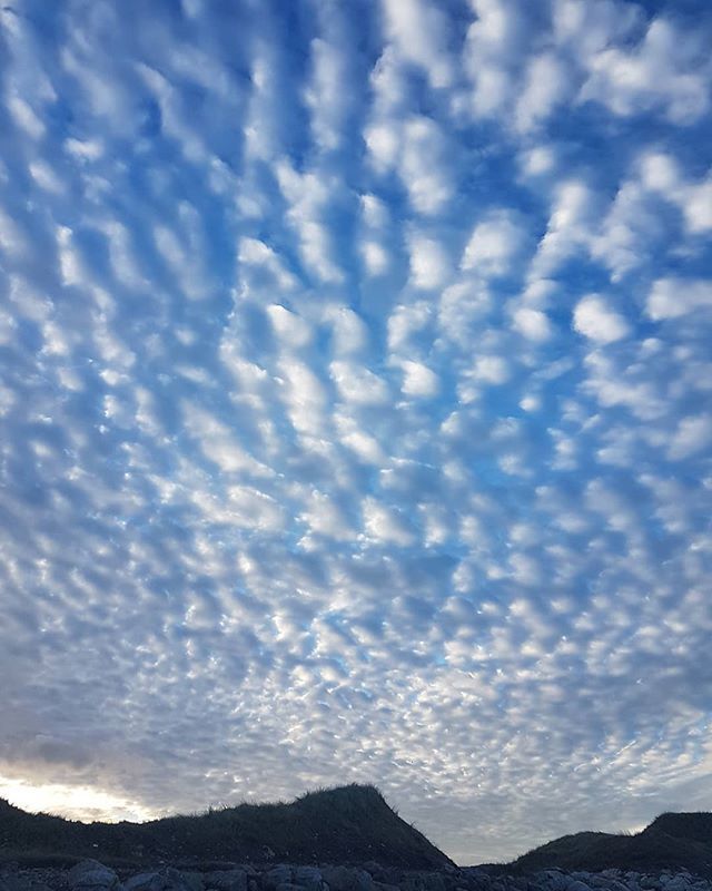 itsorlafitz's tweet photo. Wicked sky on the beach this morning - it was a really crisp cold morning by the coast. https://t.co/ySY22SAsr9 https://t.co/mtWfOppQif