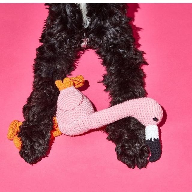 ChezKleps's tweet photo. Envie de lui offrir un jouet fun et original ? Optez pour le flamand rose de #Wareofthedog, rendez-vous sur https://t.co/swk6RqxHqJ ! 
#kleps #imnotadogimakleps #chien #chiens #dog #dogs #dogstagram #cute https://t.co/an29WRilYU
