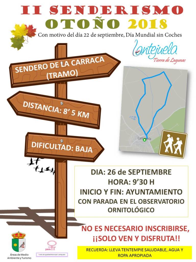 InfoSevilla tweet media